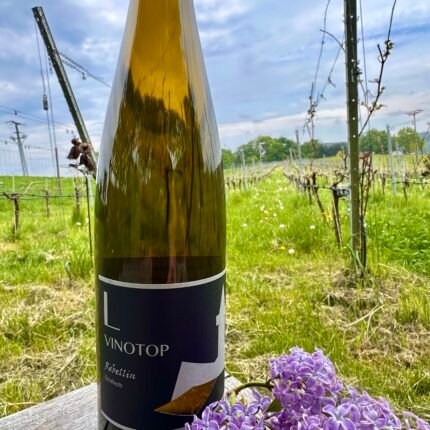 Souvignier Gris Feinherb